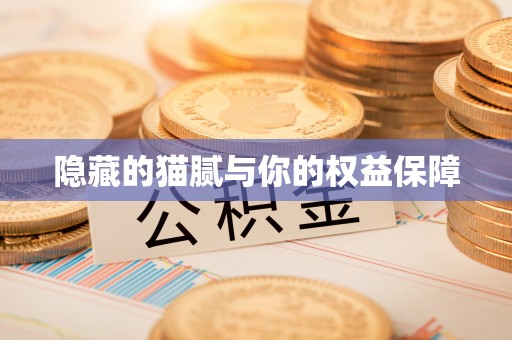 长春隐藏的猫腻与你的权益保障