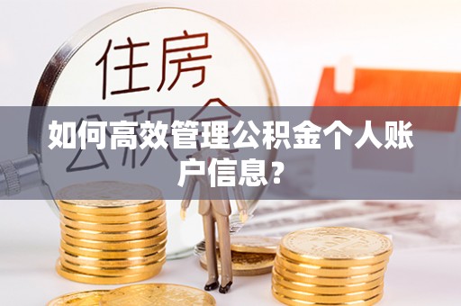 长春如何高效管理公积金个人账户信息？